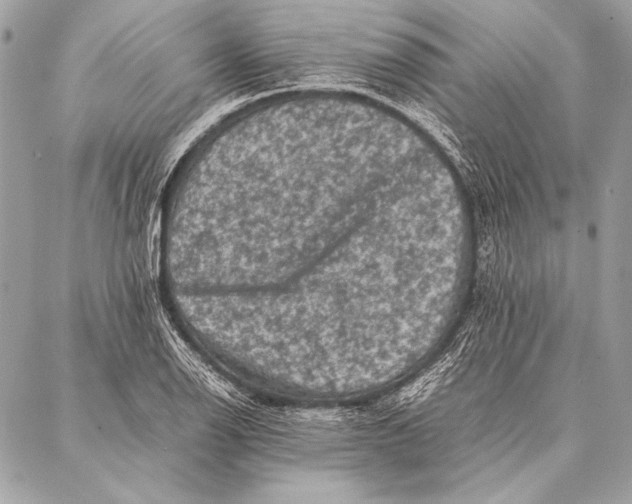 X0000087021126200705071503