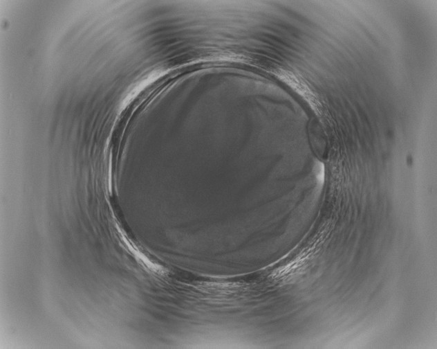 X0000087021127200705071503