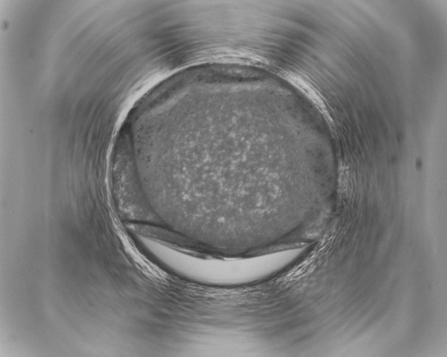 X0000087021128200705071503