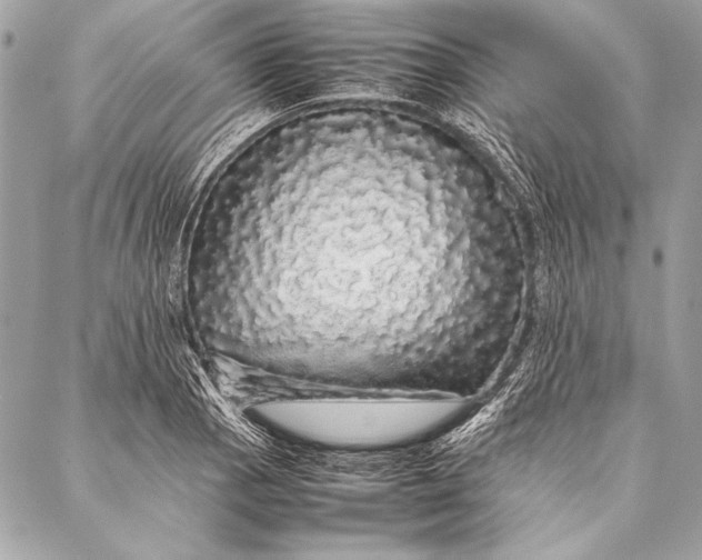 X0000087021129200705071503