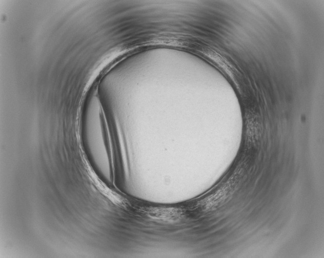 X0000087021131200705071503