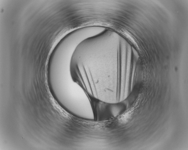 X0000087021132200705071503