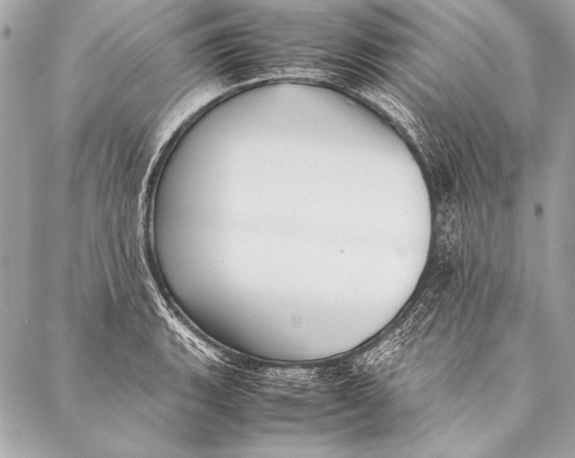 X0000087021135200705071503