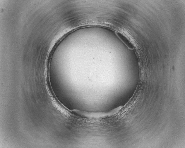 X0000087021136200705071503