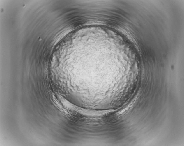 X0000087021137200705071503