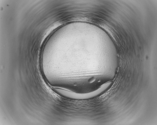 X0000087021139200705071503