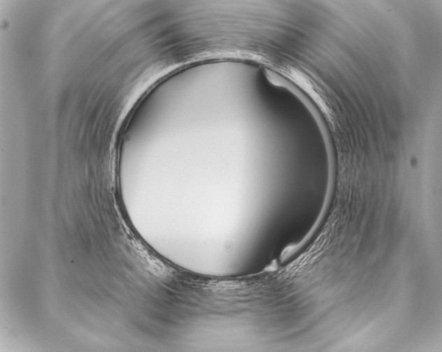 X0000087021140200705071503