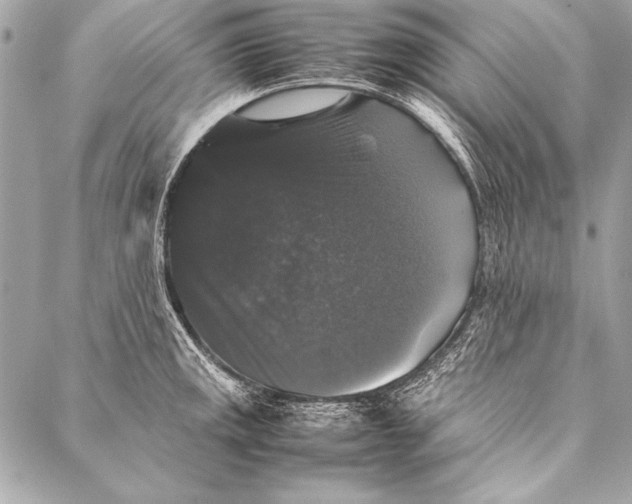 X0000087021141200705071503