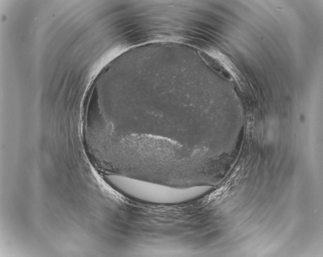 X0000087021143200705071503