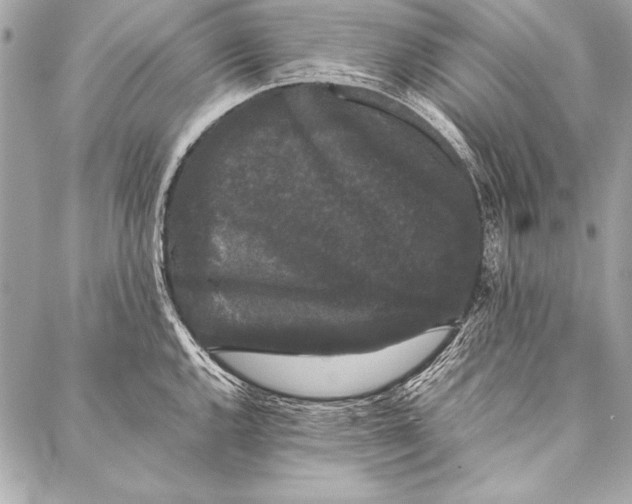 X0000087021144200705071503