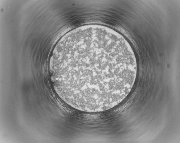 X0000087021145200705071503