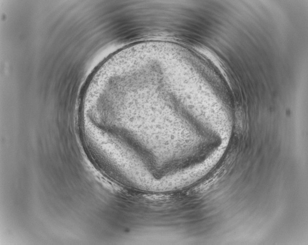 X0000087021147200705071503