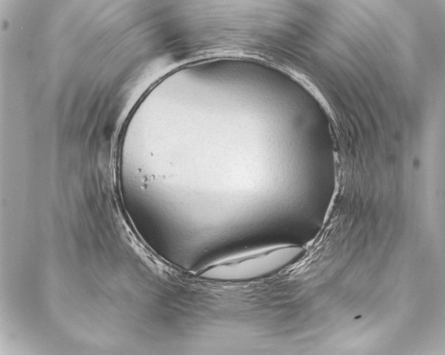 X0000087021148200705071503