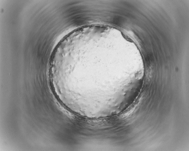 X0000087021149200705071503