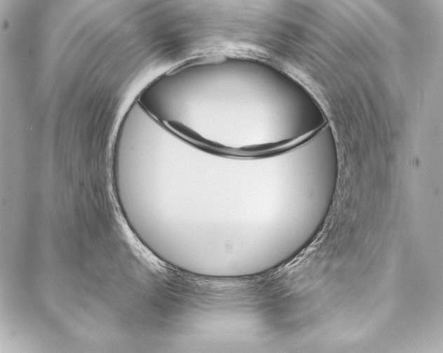 X0000087021152200705071503