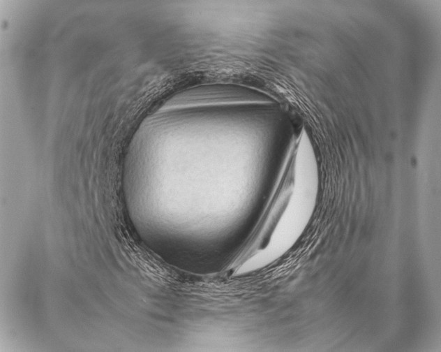 X0000087021153200705071502