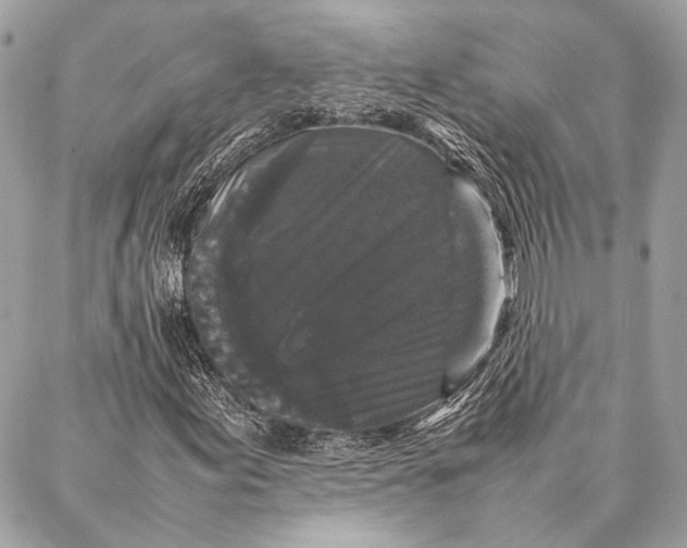 X0000087021155200705071502