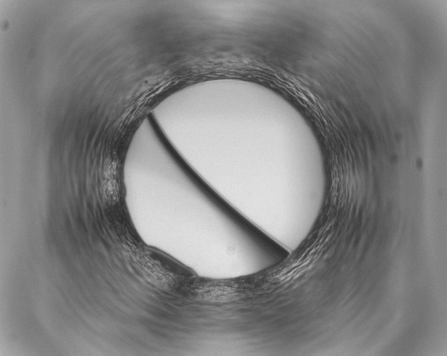 X0000087021156200705071502