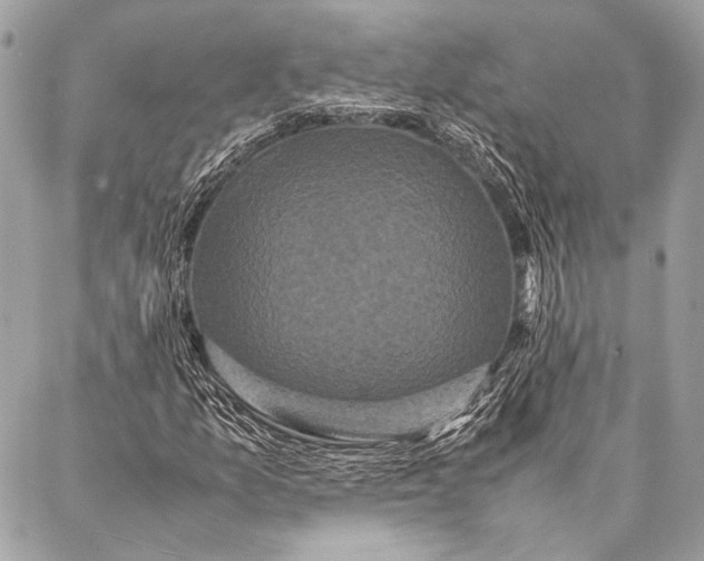 X0000087021157200705071502