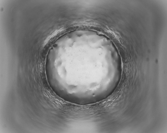 X0000087021159200705071502