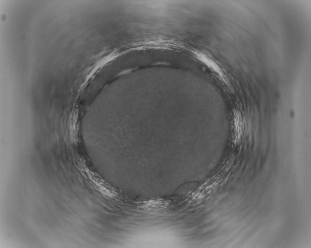 X0000087021160200705071502