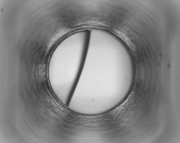 X0000087021164200705071502