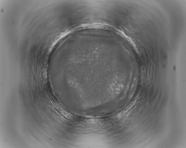 X0000087021166200705071502