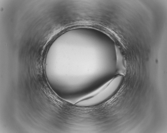 X0000087021168200705071502