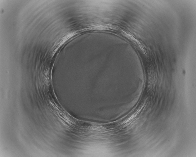 X0000087021170200705071502