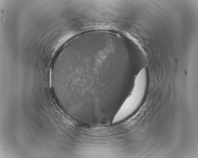 X0000087021171200705071502