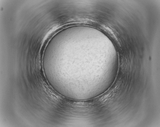 X0000087021172200705071502