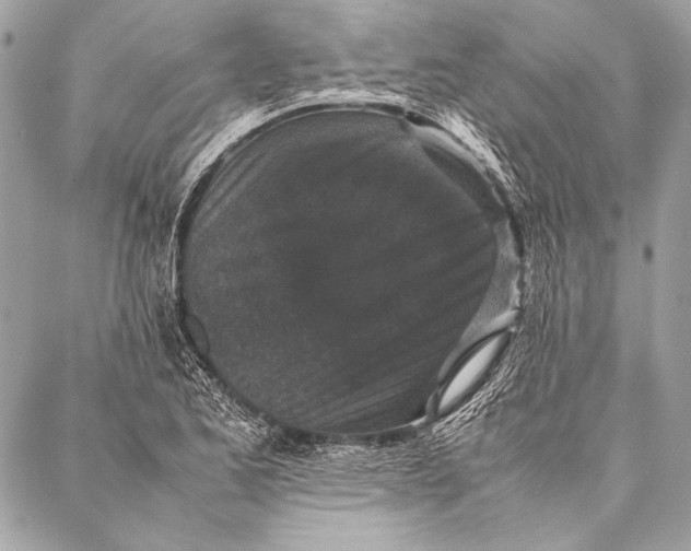 X0000087021173200705071502