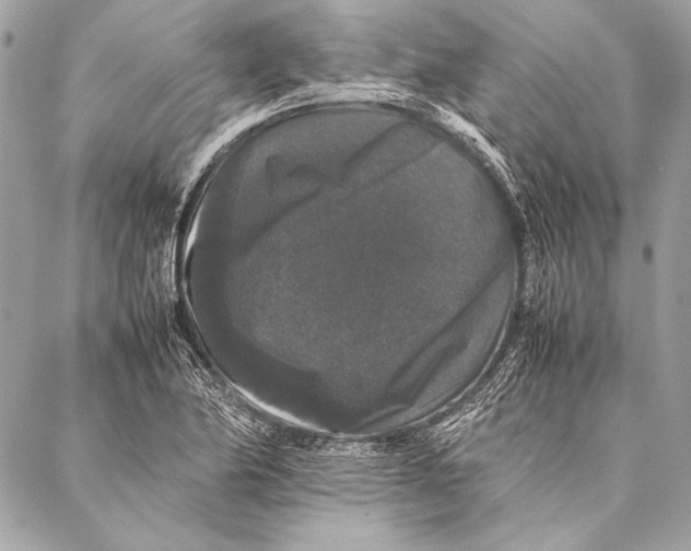 X0000087021174200705071502