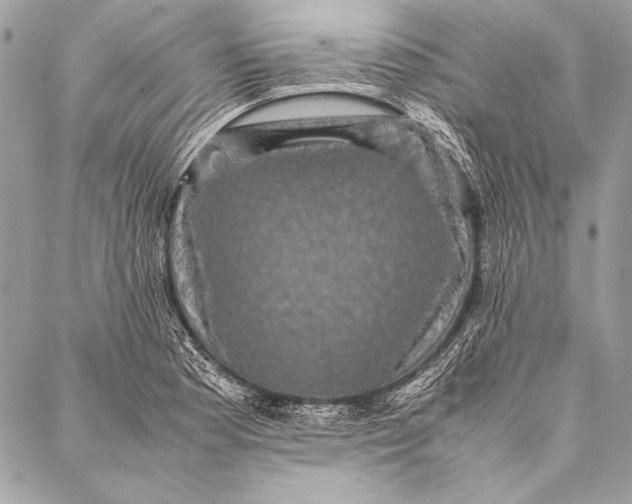 X0000087021177200705071502