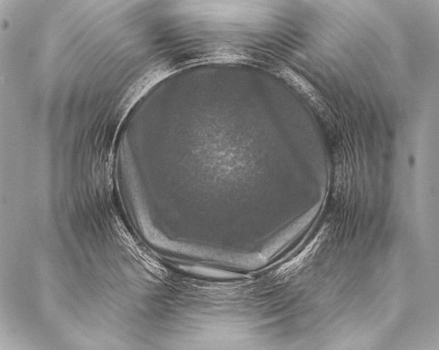 X0000087021178200705071502