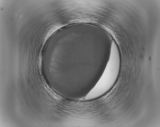 X0000087021179200705071502