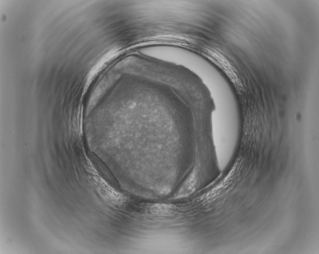 X0000087021180200705071502