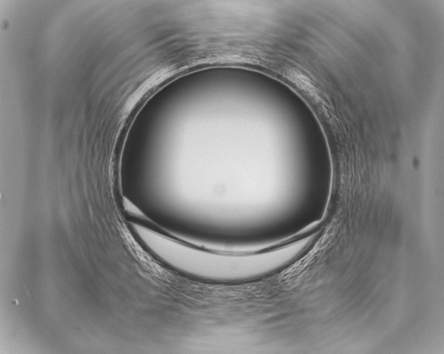 X0000087021181200705071502