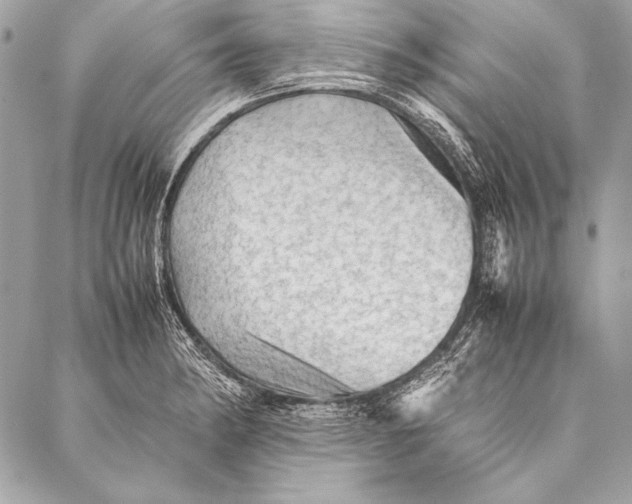 X0000087021182200705071502