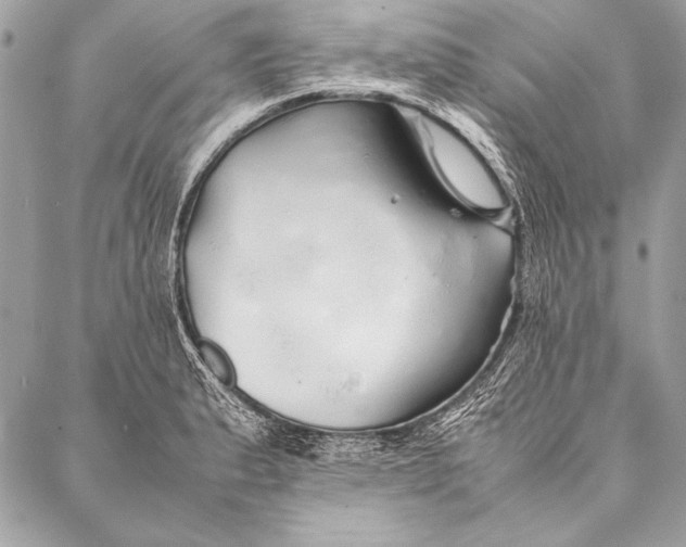 X0000087021183200705071502