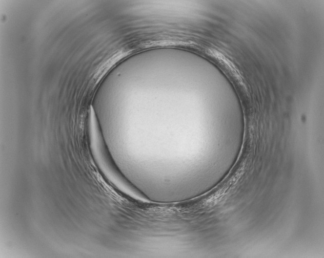 X0000087021185200705071502