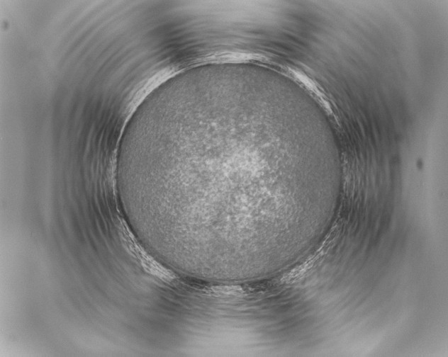 X0000087021186200705071502