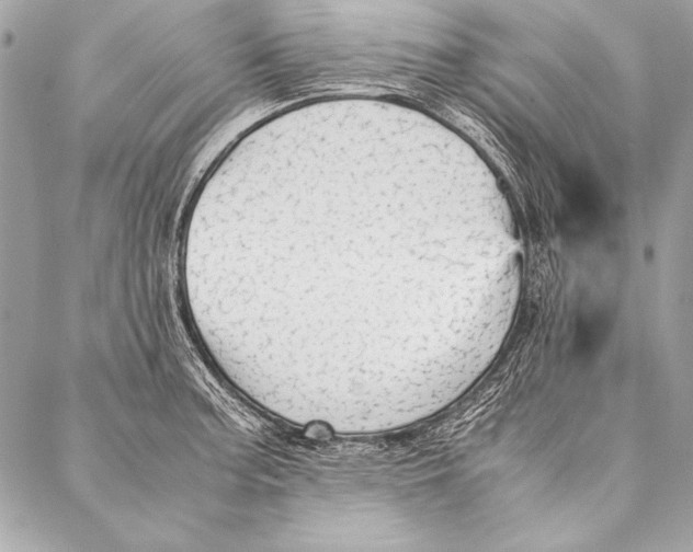 X0000087021187200705071502