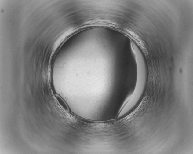 X0000087021188200705071502