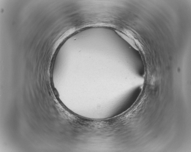 X0000087021189200705071502