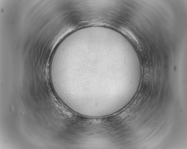 X0000087021190200705071502