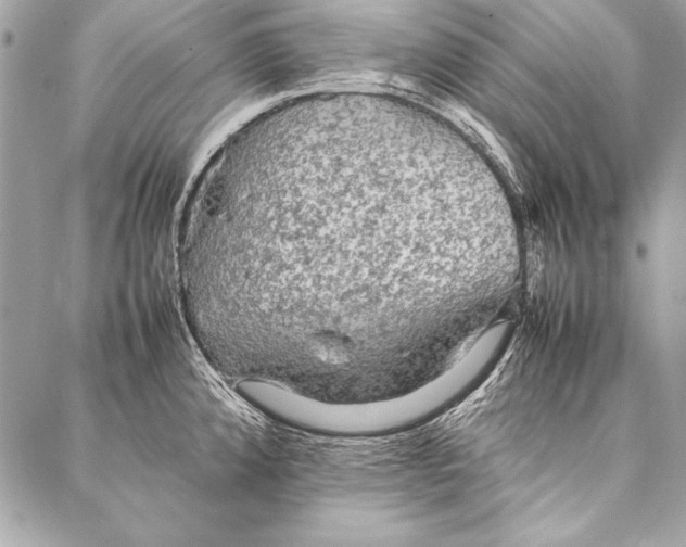 X0000087021192200705071502