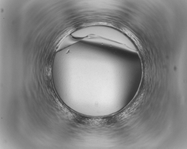 X0000087021193200705071502