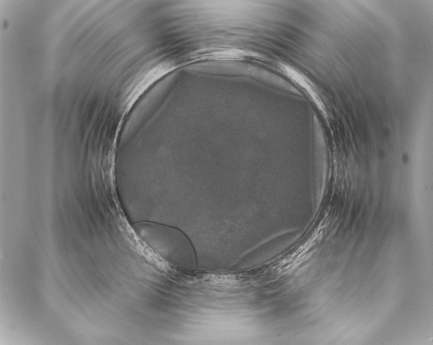 X0000087021194200705071502