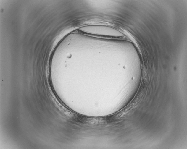 X0000087021195200705071502